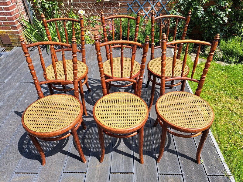 Set of 6 ash and caned Fischel chairs 